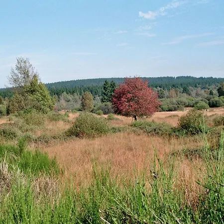 Zur Altstadt 3 شقة *