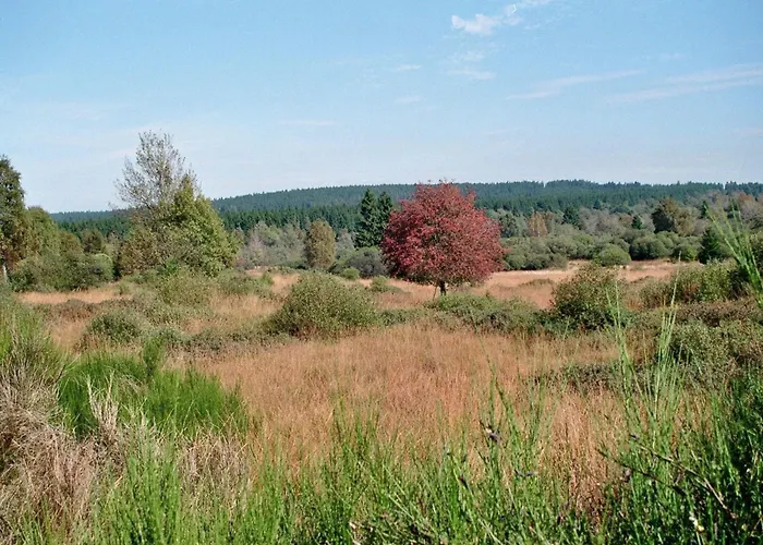 Zur Altstadt 3 Apartamento *